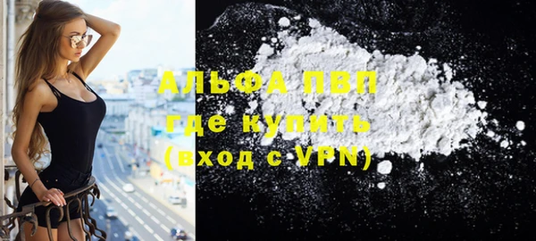 стафф Алексин