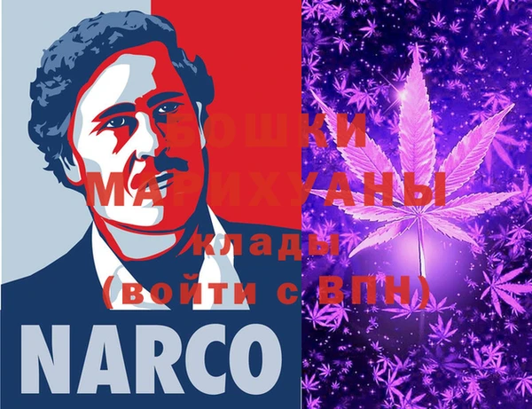 стафф Алексин