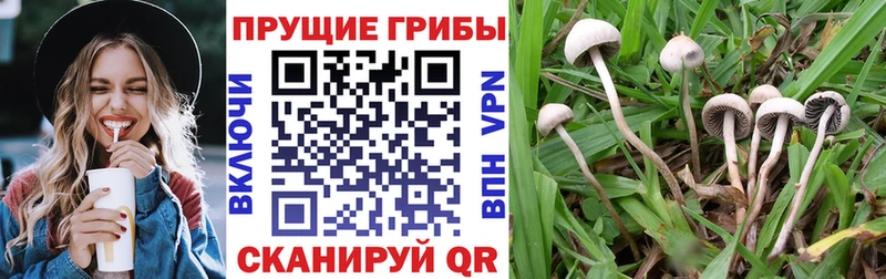 Галлюциногенные грибы ЛСД Бикин