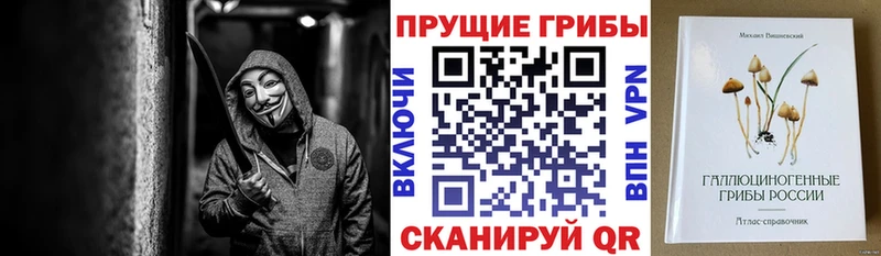 mega зеркало  Бикин  Псилоцибиновые грибы мухоморы  где купить наркоту 